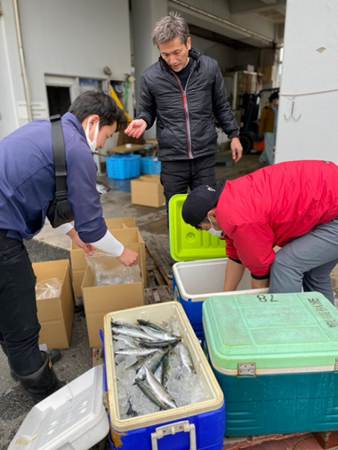 姫島の大敷網にかかる小さいローソクサバ