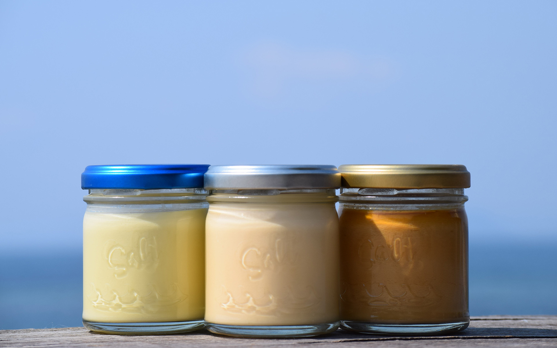 またいちの塩プリン