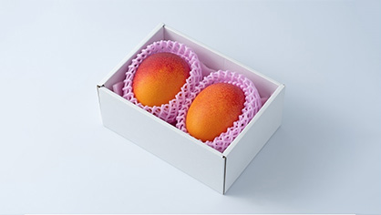 完熟宮崎マンゴー