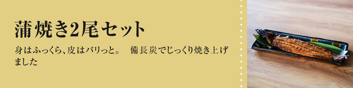 蒲焼き2尾セット