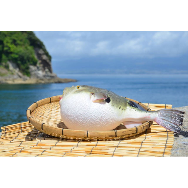 企業紹介画像1