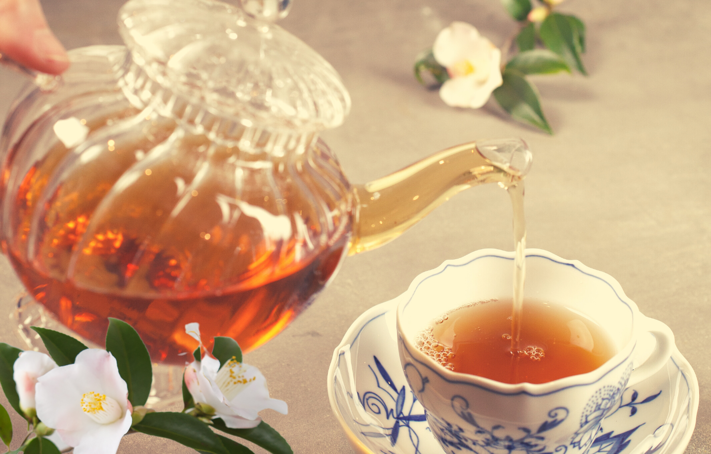 五島つばき茶 90包