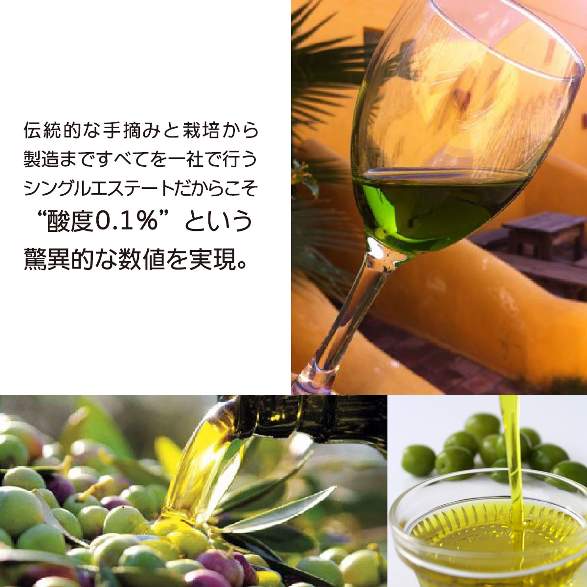 250ML 3種組合せ/化粧箱付】オーガニック・エキストラバージン・オリーブオイル 「オロ・デル・デシエルト」-アルベキーナ/ピクアル/クパージュ
